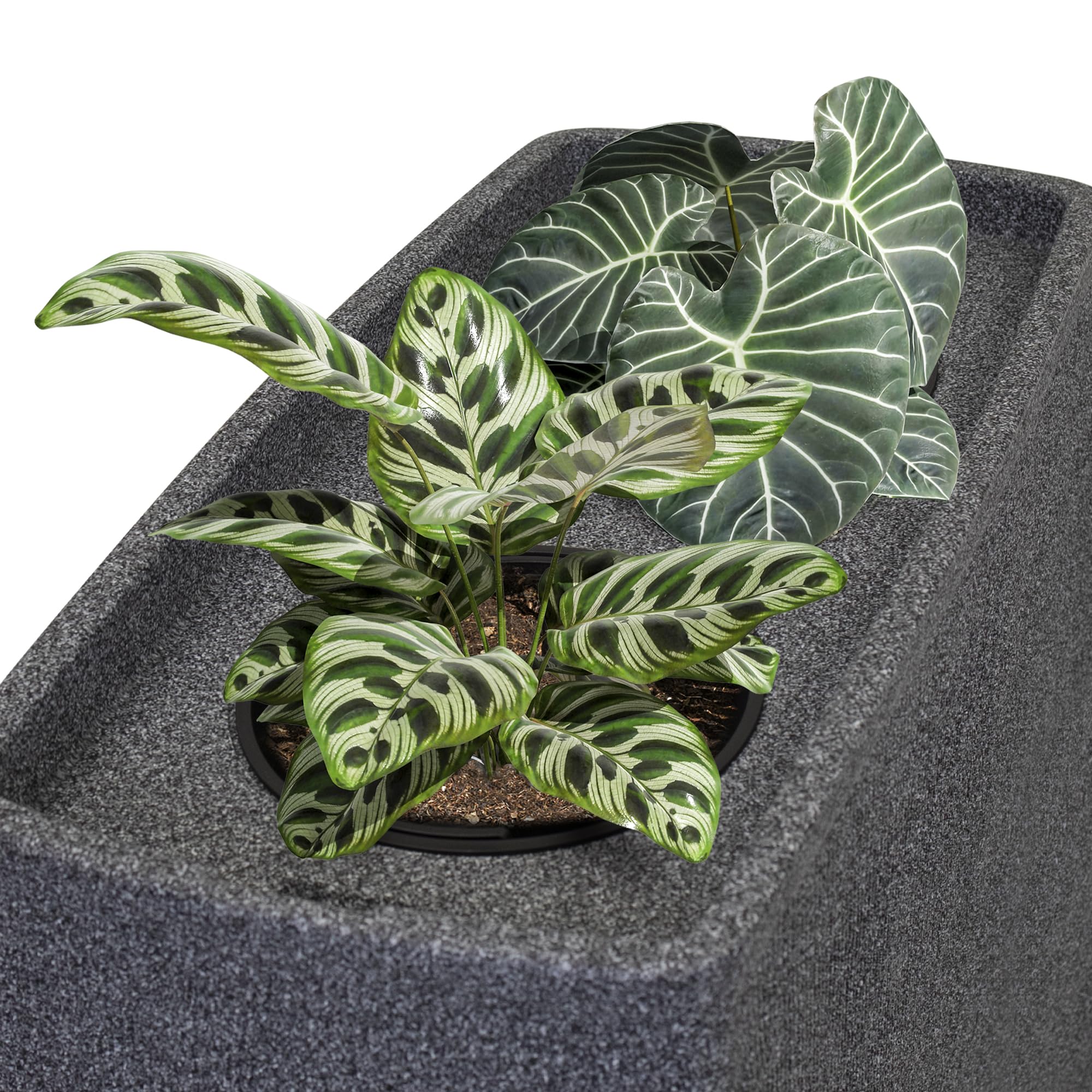 YourCasa Regentonne 270 Liter [QuadraFlow Rain] Eckig und Schmal - Metallgewinde und Deckel- Regenfass Frostsicher aus Kunststoff - Regenwassertonne - Regenwassertank Garten Wassertank Regensammler