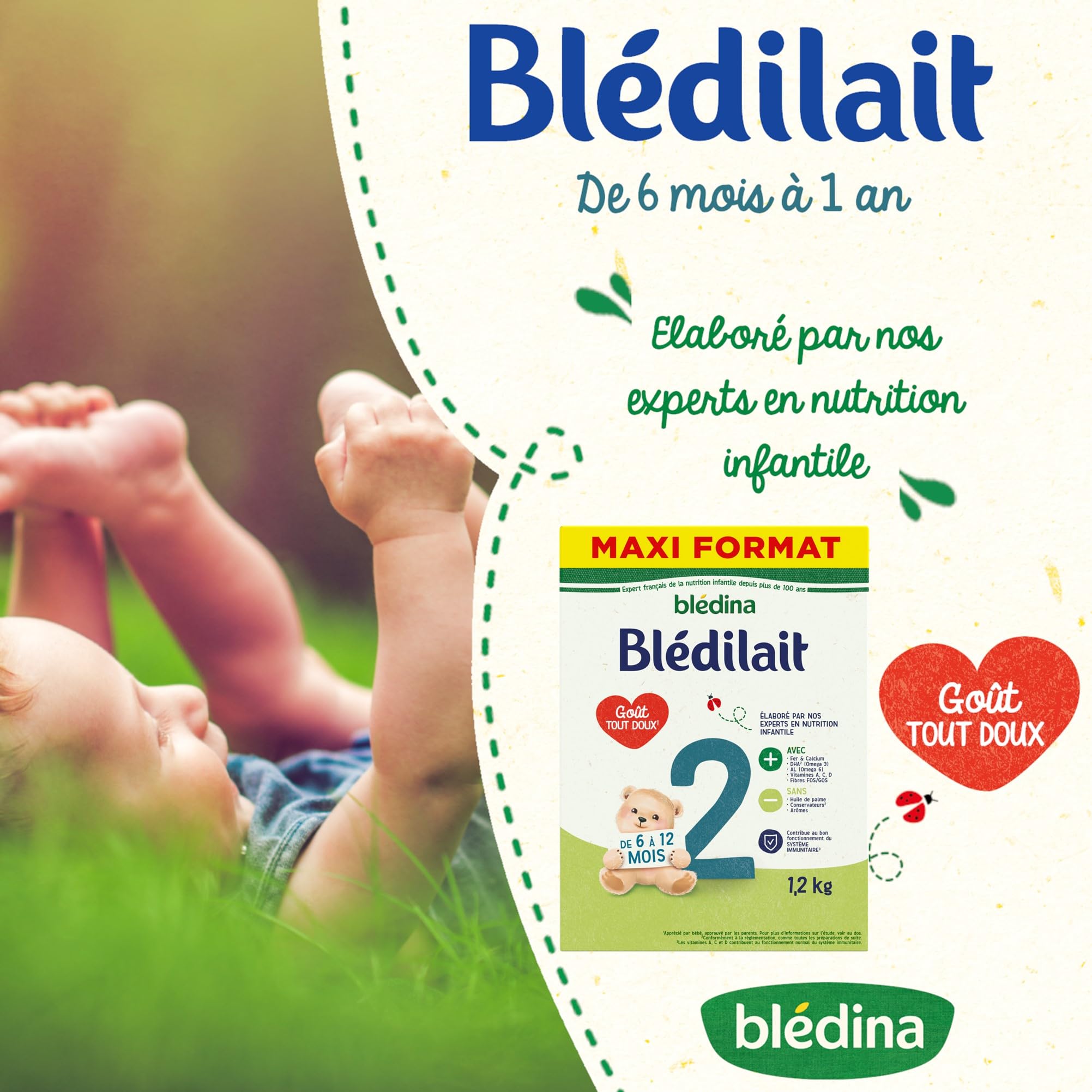 Blédina Blédilait 2, Lait en Poudre pour Bébé, De 6 Mois à 12 Mois, 1,2kg (Boîtex3)