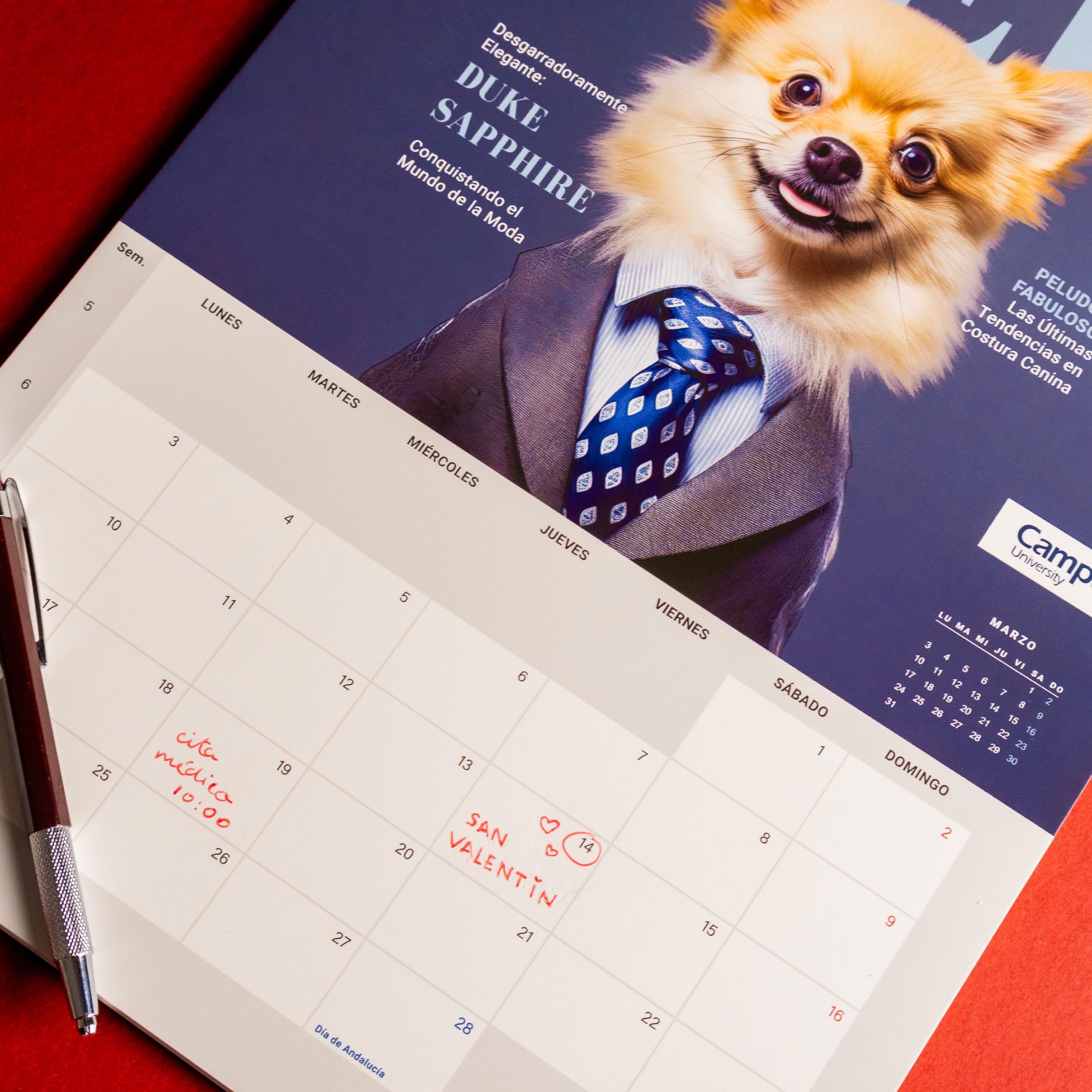2025 Calendar, Annual Wall Calendar For Dogs, Calendar Pictures To Note