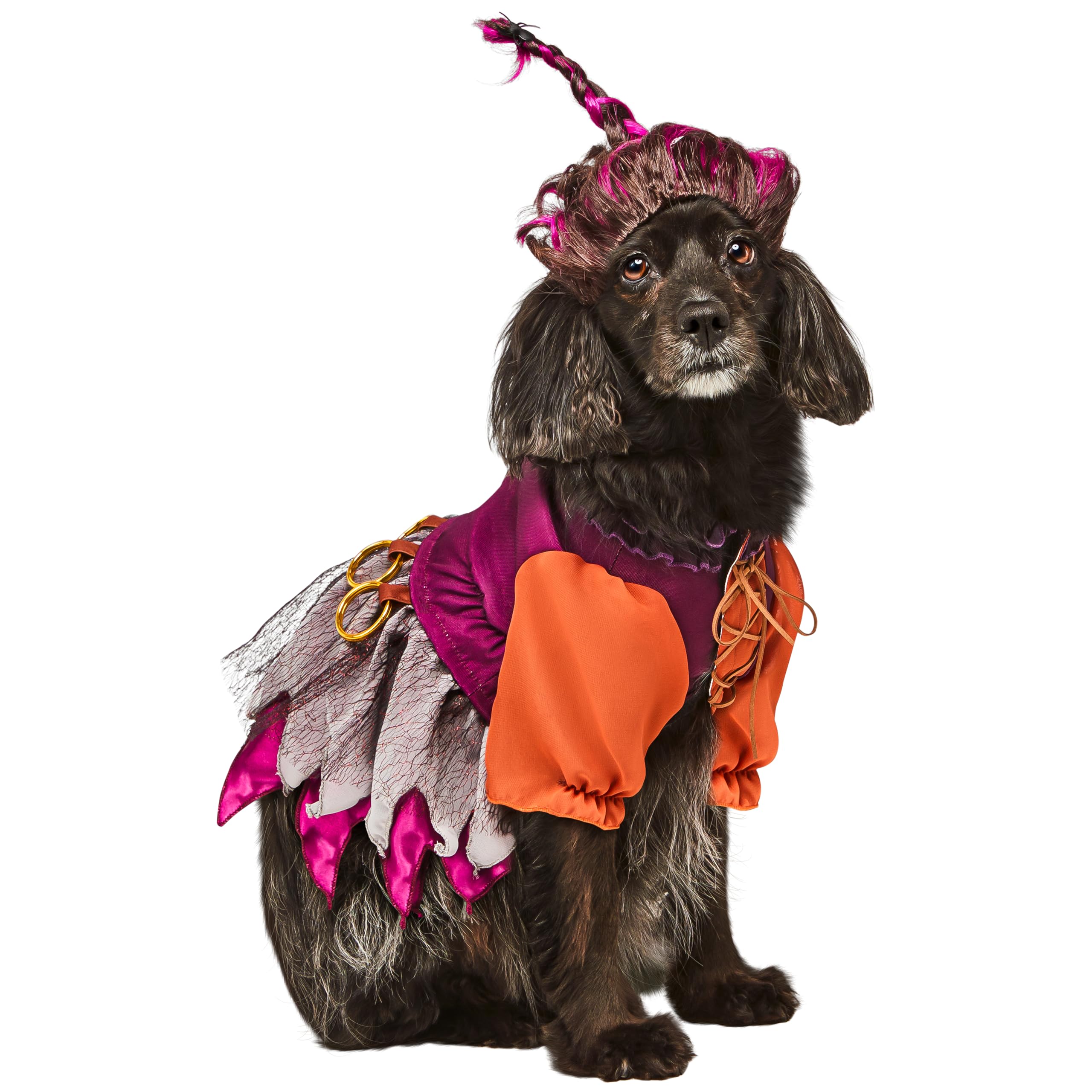 Rubies Hocus Pocus Mary Sanderson Pet Fancy Dress Costume XL