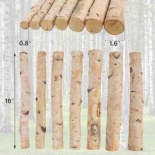 Miniatura 3 de Paquete de 12 Troncos de Abedul Blanco para Chimenea - Ramas de Abedul Decorativas Naturales para Repisa de Chimenea, Chimenea Falsa, Decoración de