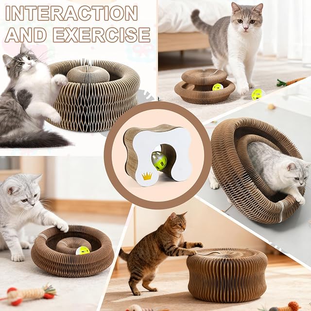 Foto 8 de 8 de Rascadores de Gatos, Cat Scratcher de Campana