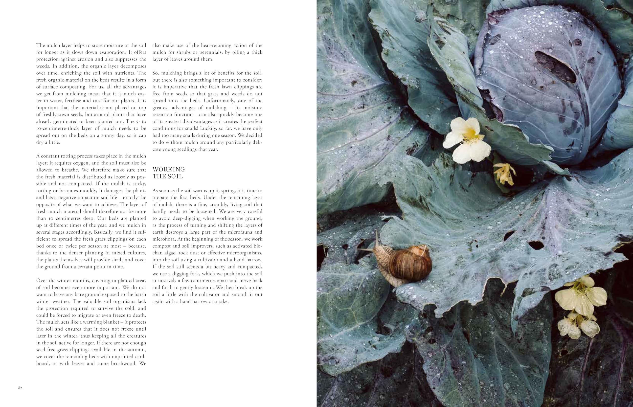 Beyond the Meadows: Portrait of a Natural and Biodiverse Garden by Krautkopf