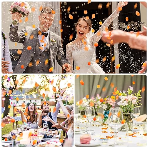 Miniatura 8 de 3000 pétalos de rosa, pétalos de rosa para bodas, pétalos de flores artificiales (morado)