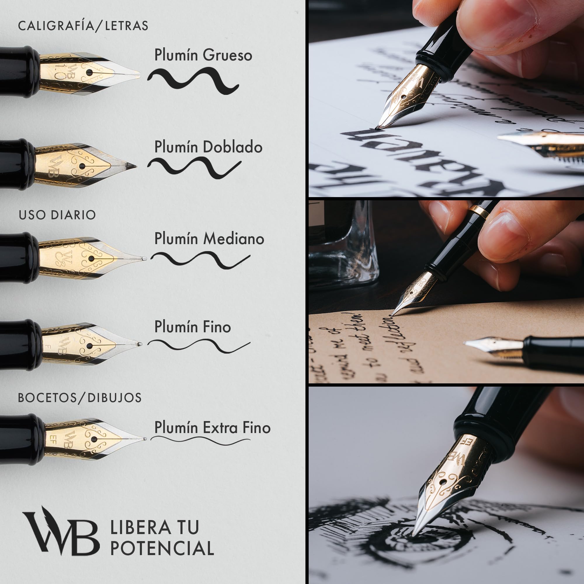 Wordsworth & Black - Juego de plumas estilográficas medias, incluye 6 cartuchos de tinta y un convertidor de recarga de tinta, estuche de regalo, para caligrafía, escritura lisa, cromado y plateado
