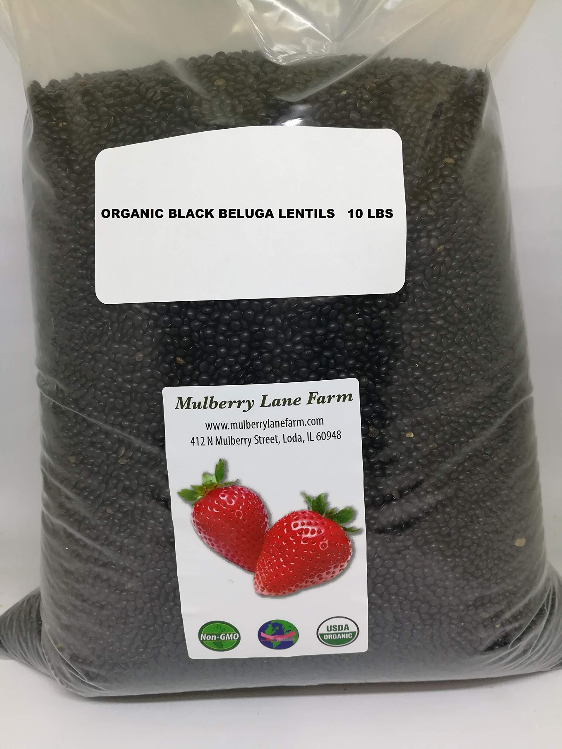 Black Beluga Lentils 10 pounds USDA Certified Organic,, Non-GMO Bulk