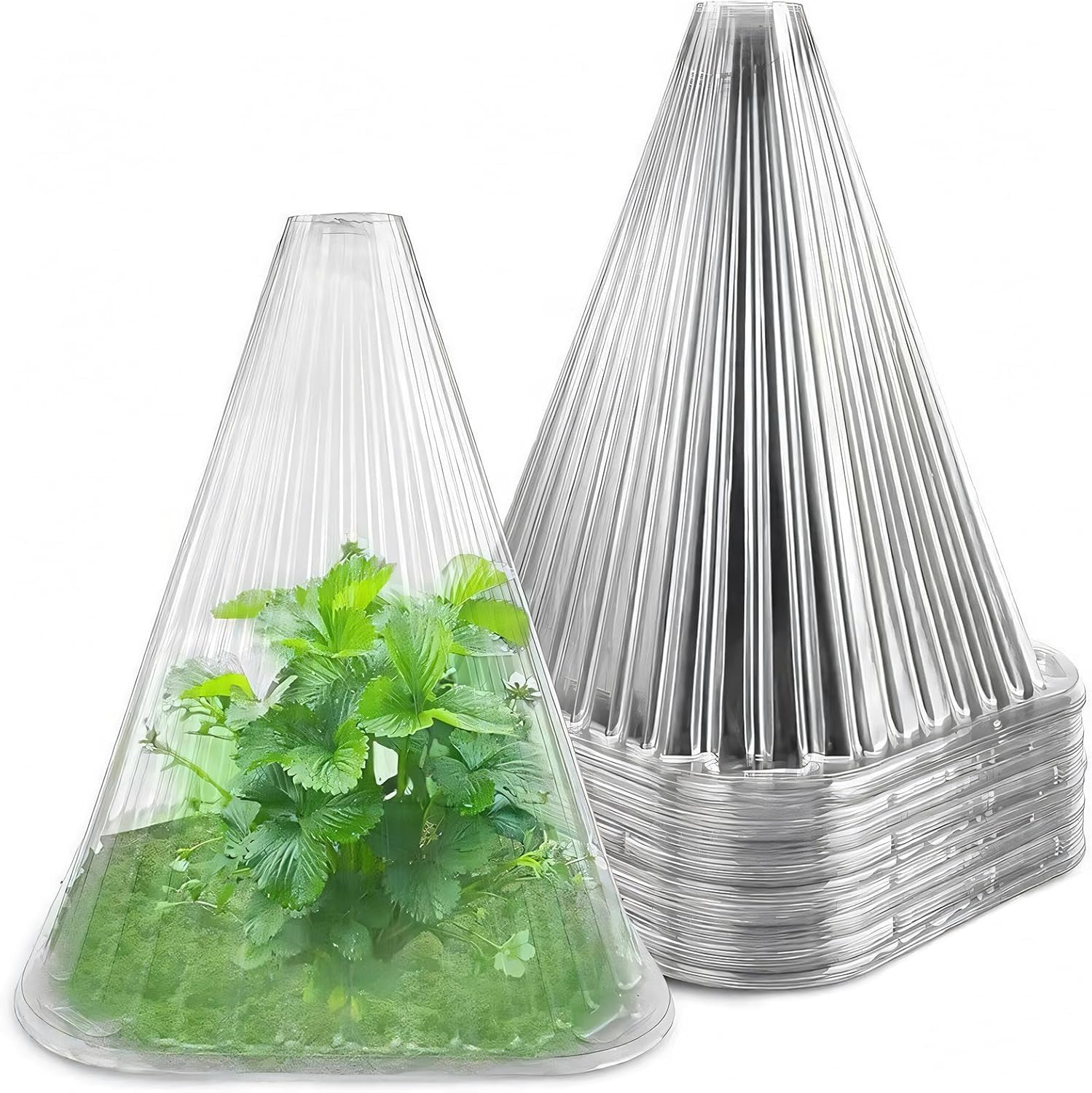 KAHEIGN 20 Pièces Cloches pour Plantes de Jardin 22CM x 19CM Plastique Protection Contre Gel
