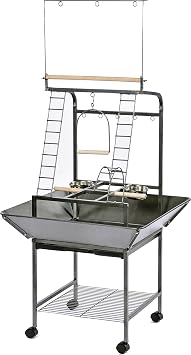 Small Parrot Playstand