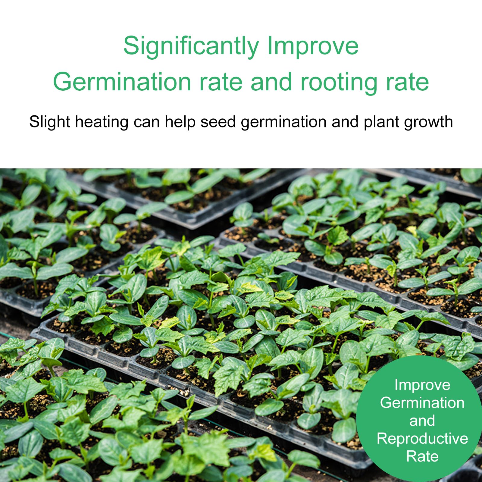 Tappeto Riscaldante per Piantine Tappetino Riscaldante per Piante da Interno per la Germinazione IP67 Impermeabile Tappetino Riscaldante Germinazione, per piantine, Rettile Anfibio, 52 x 25cm