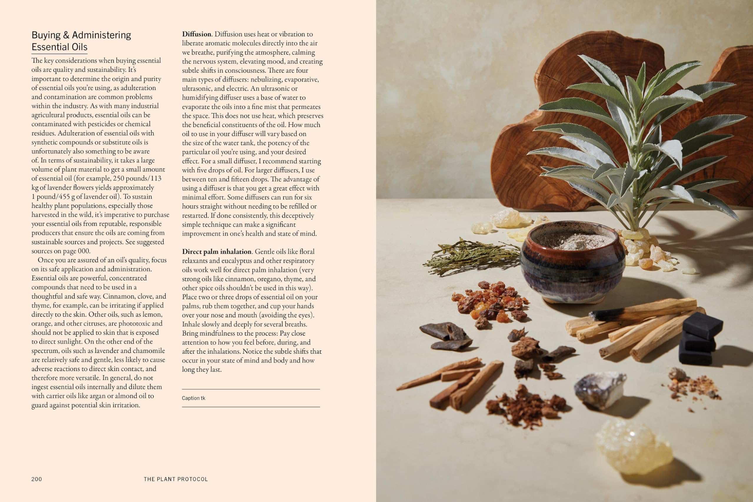 The Plant Medicine Protocol: Unlocking the Power of Plants for Optimal Health and Longevity