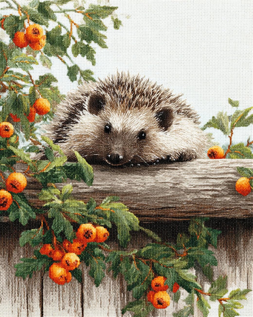 RKFLGEW DIY Seed Bead Embroidery Kits Fantasy Hedgehog 30x40cm