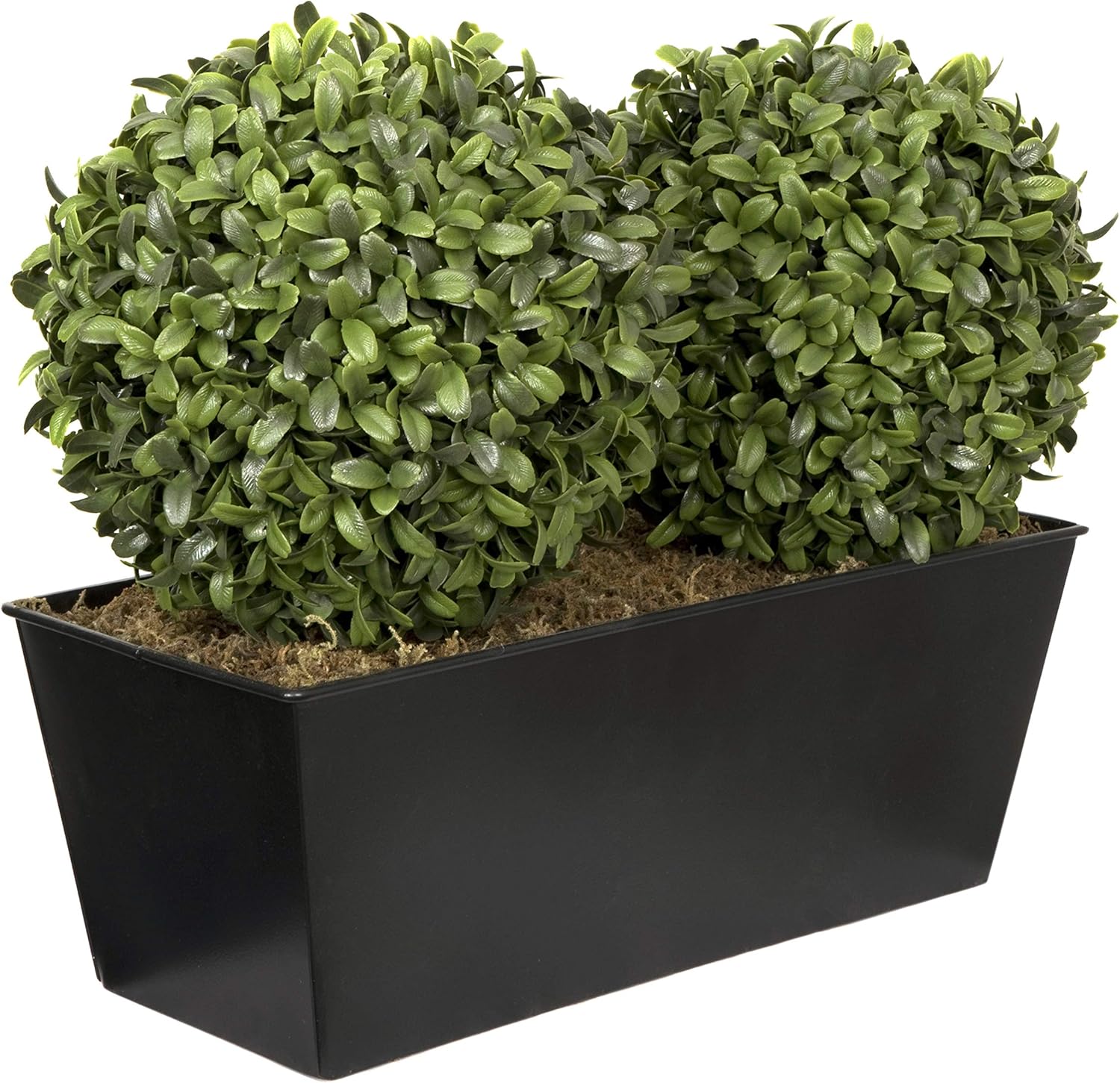 New Deal GreenBrokers ABBT-1611-02 Artificial Double Ball Aglaia Boxwood in Black Tin