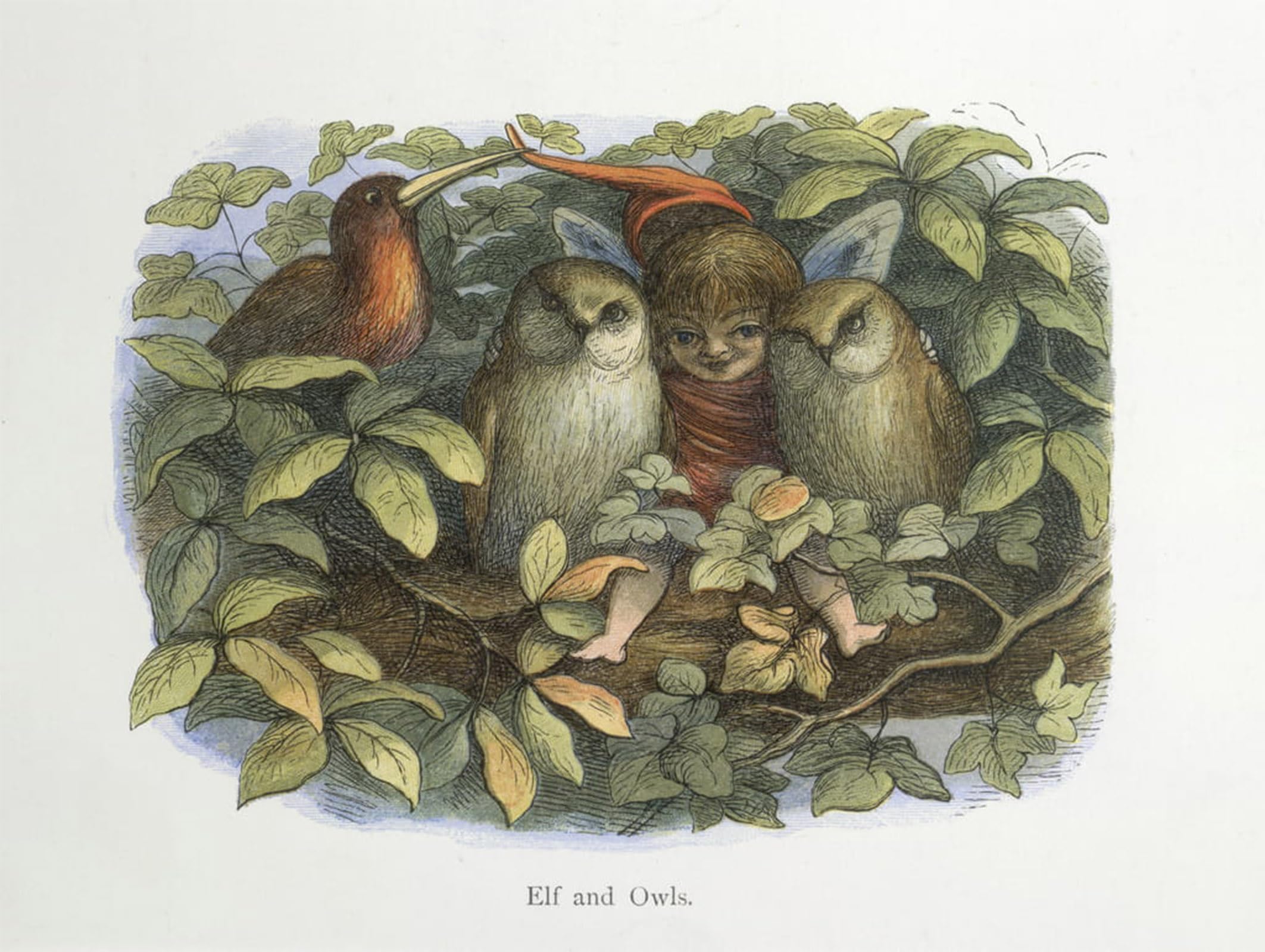 ARTXLXXBN Famous Painting Canvas Artwork Graffiti Print Elf and Owls by Richard Doyle Portrait Canvas Image for Home Decor 60x90cm