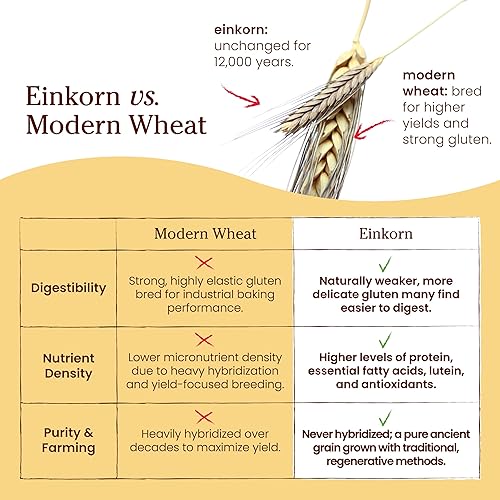 Miniatura 5 de Jovial: harina orgánica Einkorn, 32 onzas (paquete de 2)