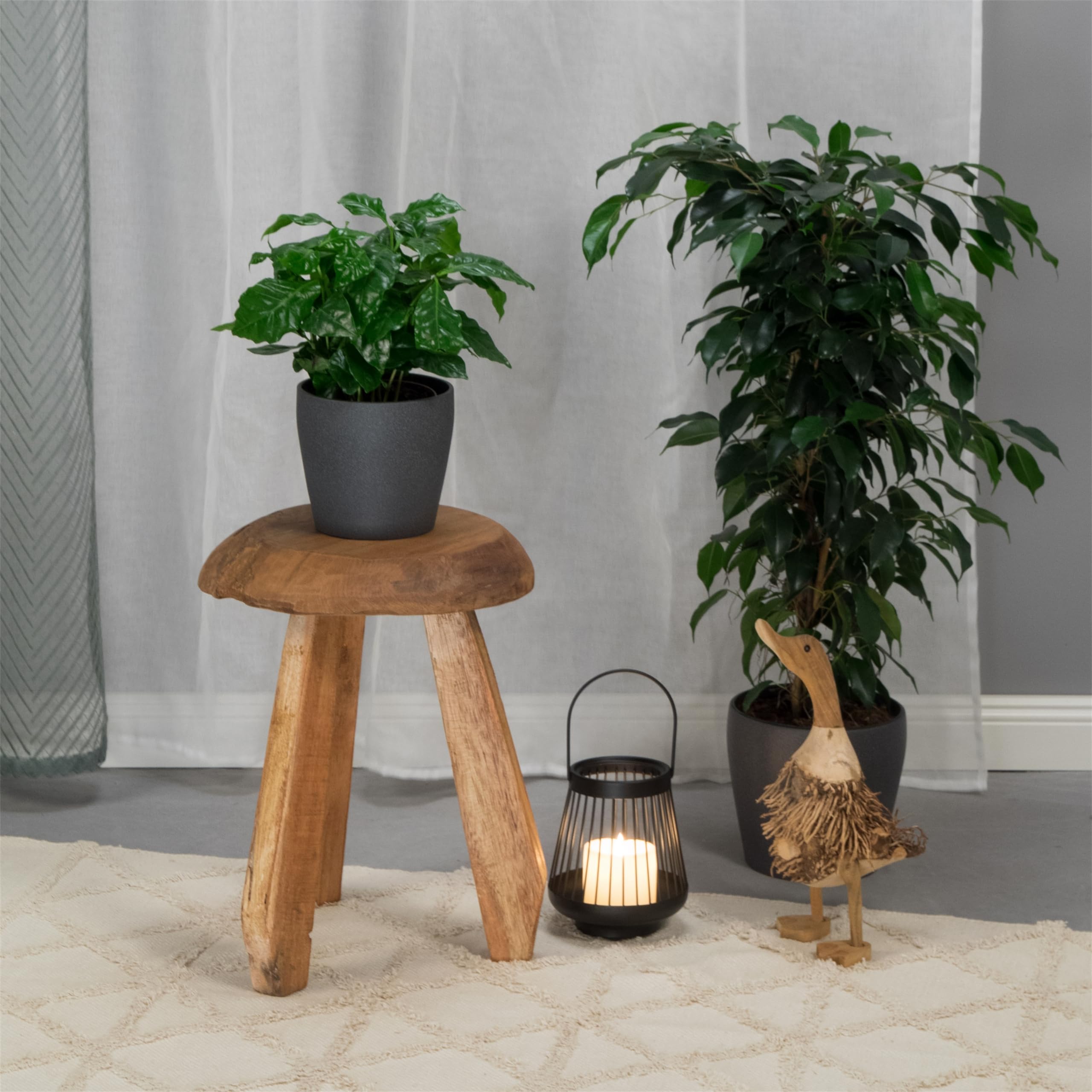 Rustico Sgabello Heidi | Legno di Mogano, 39 cm | Sgabello da mungitura in Legno, Sgabello per Fiori, Sgabello in Legno Naturale, Sgabello Laterale Rotondo