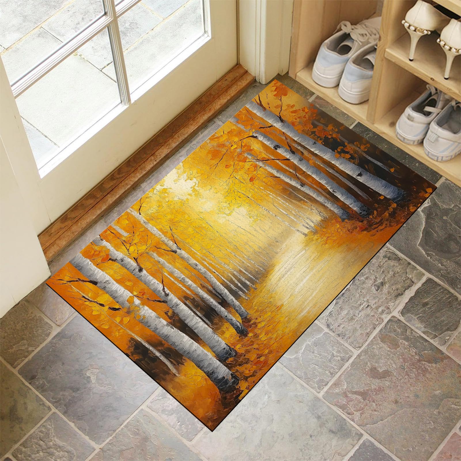 Paillasson extérieur antidérapant 40x60 cm tapis lavable