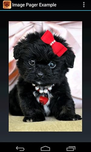Doggy – vue 5