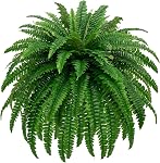 48" Large Artificial Boston Fern Plants for Outdoor Indoor, Fake Ferns for Front Porch Hanging, Faux Greenery Bushes for Home Garden Office Decor, Silk Fern with Realistic Fronds, 88 Branches