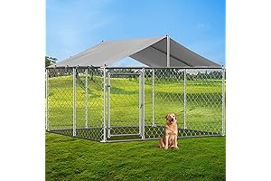 10 x 10 Dog Kennel: Outdoor Dog Paradise, Comfort and Security