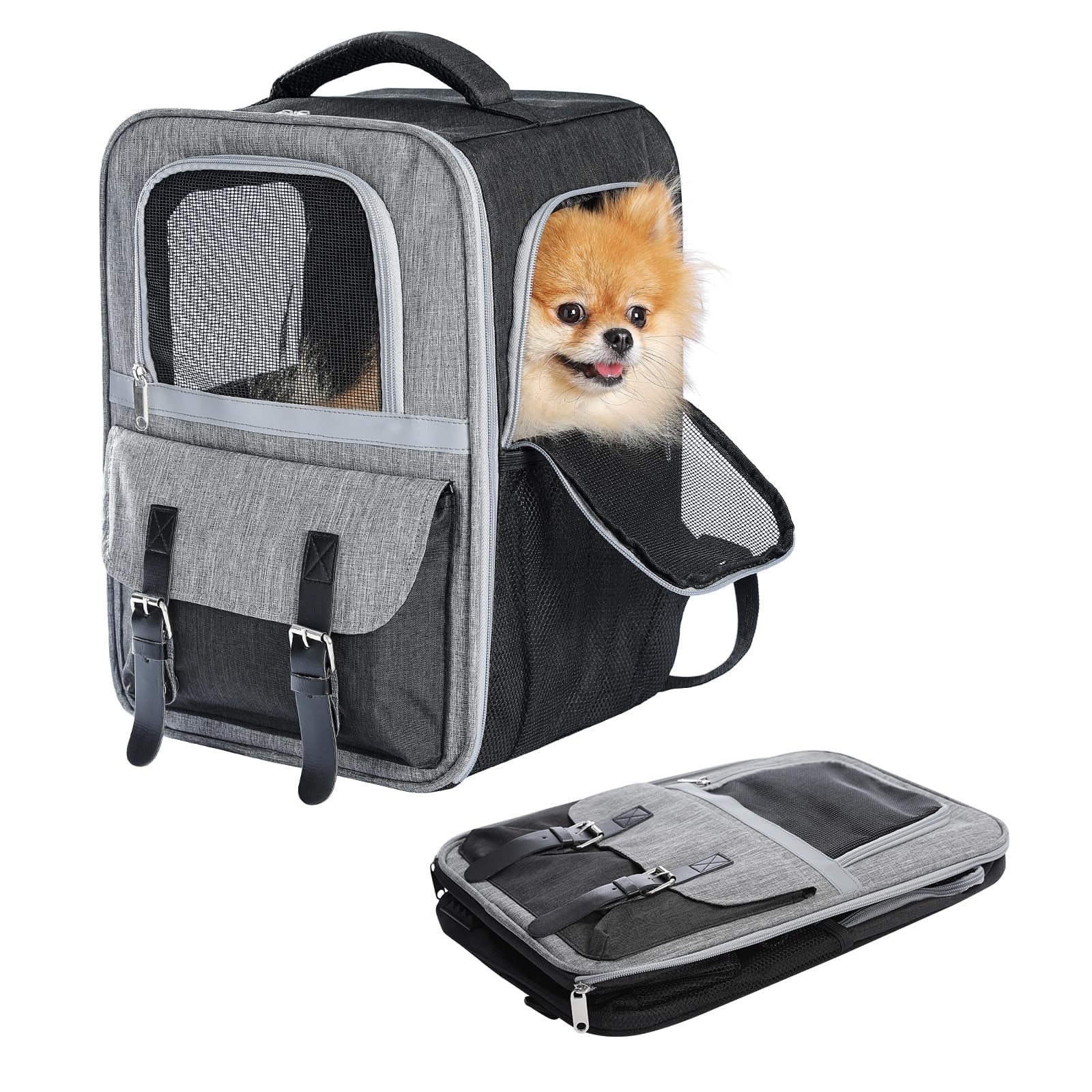 PurpurRain Haustier Rucksack Katzenrucksack Hunderucksack, Tiertransporttasche für Katzen und Kleine Hunde bis 7 kg