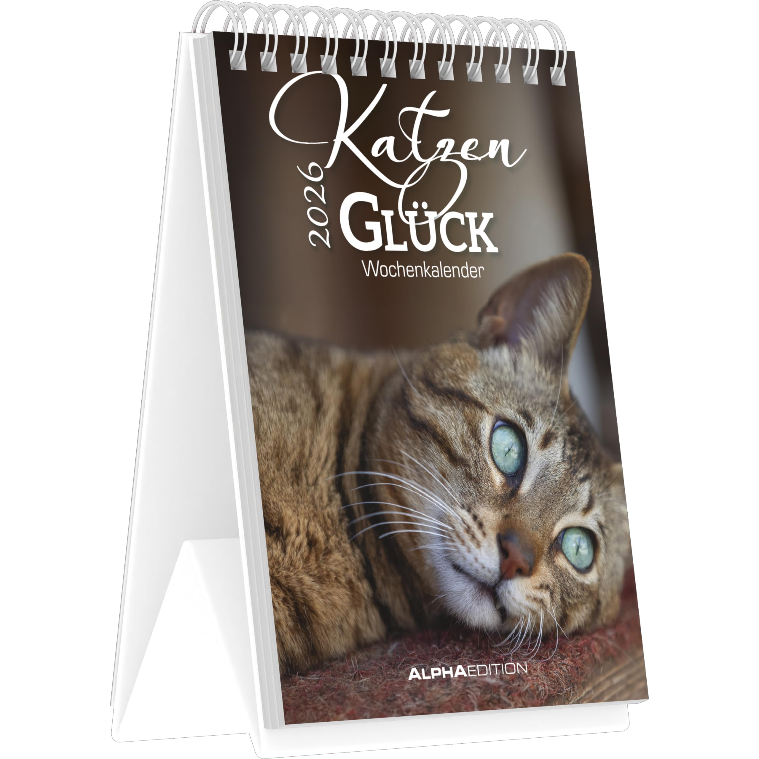 Kalender, Planer & Organizer