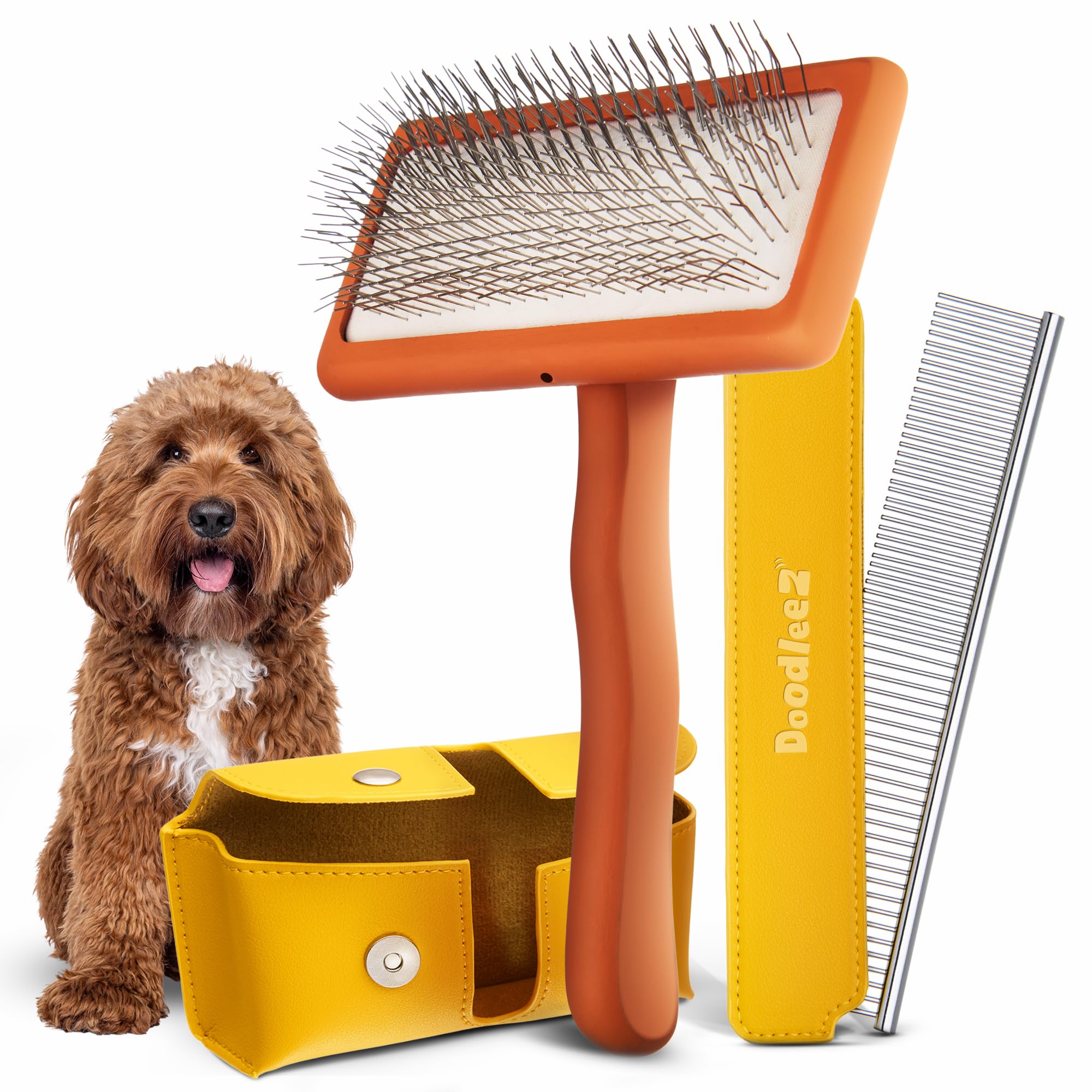 Labradoodle Grooming Tools