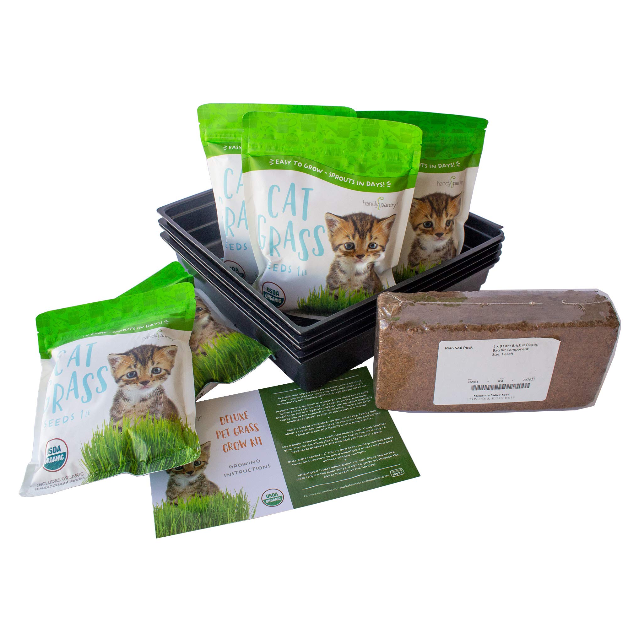 cat grass tray