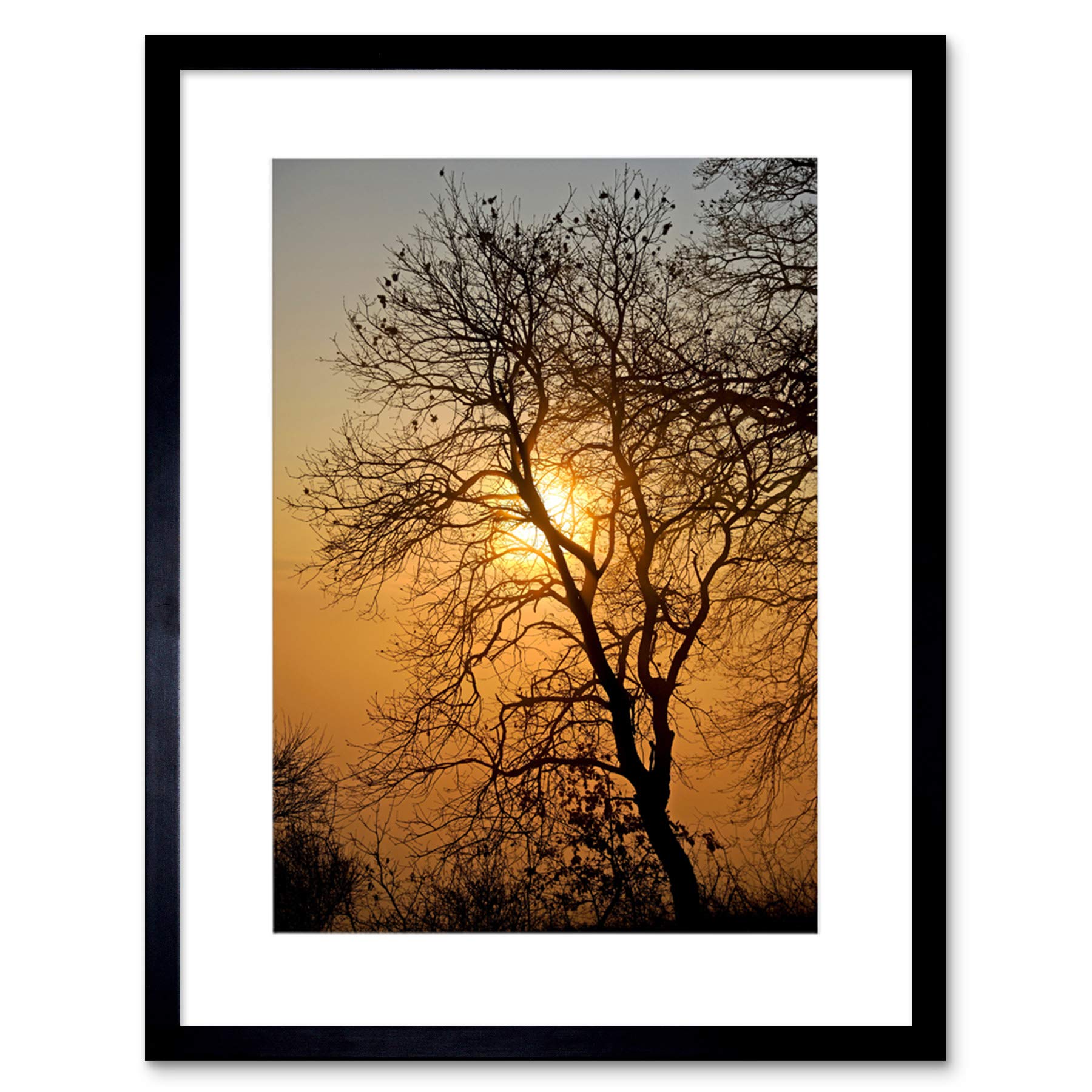 Wee Blue Coo Sunrise Backlight Silhouette Tree Art Picture Framed Wall Art Print