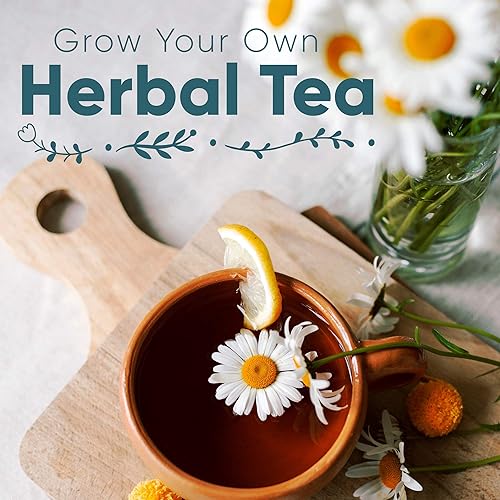 Miniatura 6 de Paquete variado de semillas de té de hierbas, 10 paquetes de semillas de hierbas medicinales, semillas de hierbas orgánicas certificadas sin OMG,