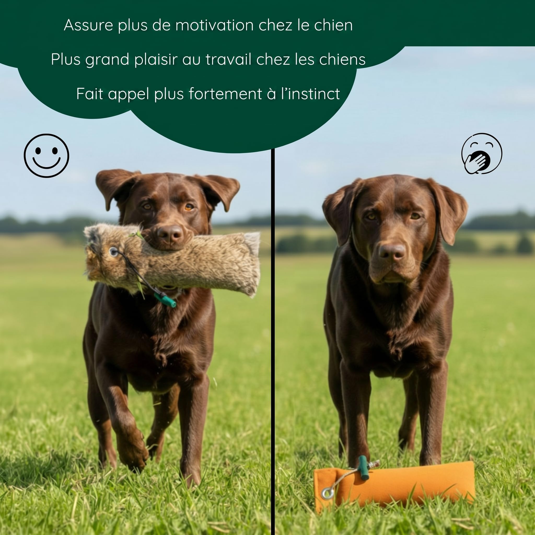 ROMNEYS Mannequin de lapin | Mannequin standard 500 g recouvert de véritable fourrure de lapin | Apportel sauvage pour la formation des chiens de chasse
