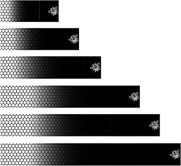 White Water Archery Laminated Honeycomb White Black Fade 1 Bee Arrow Wraps 15 Pc Choose Length Width