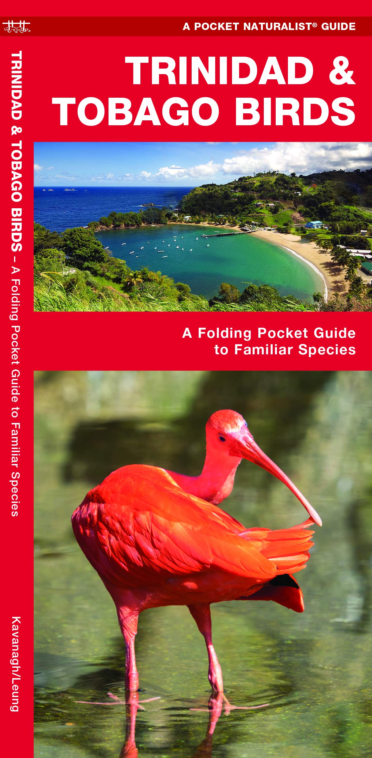 Trinidad & Tobago Birds: A Folding Pocket Guide to Familiar Species (Pocket Naturalist Guides) (Nature Observation International)