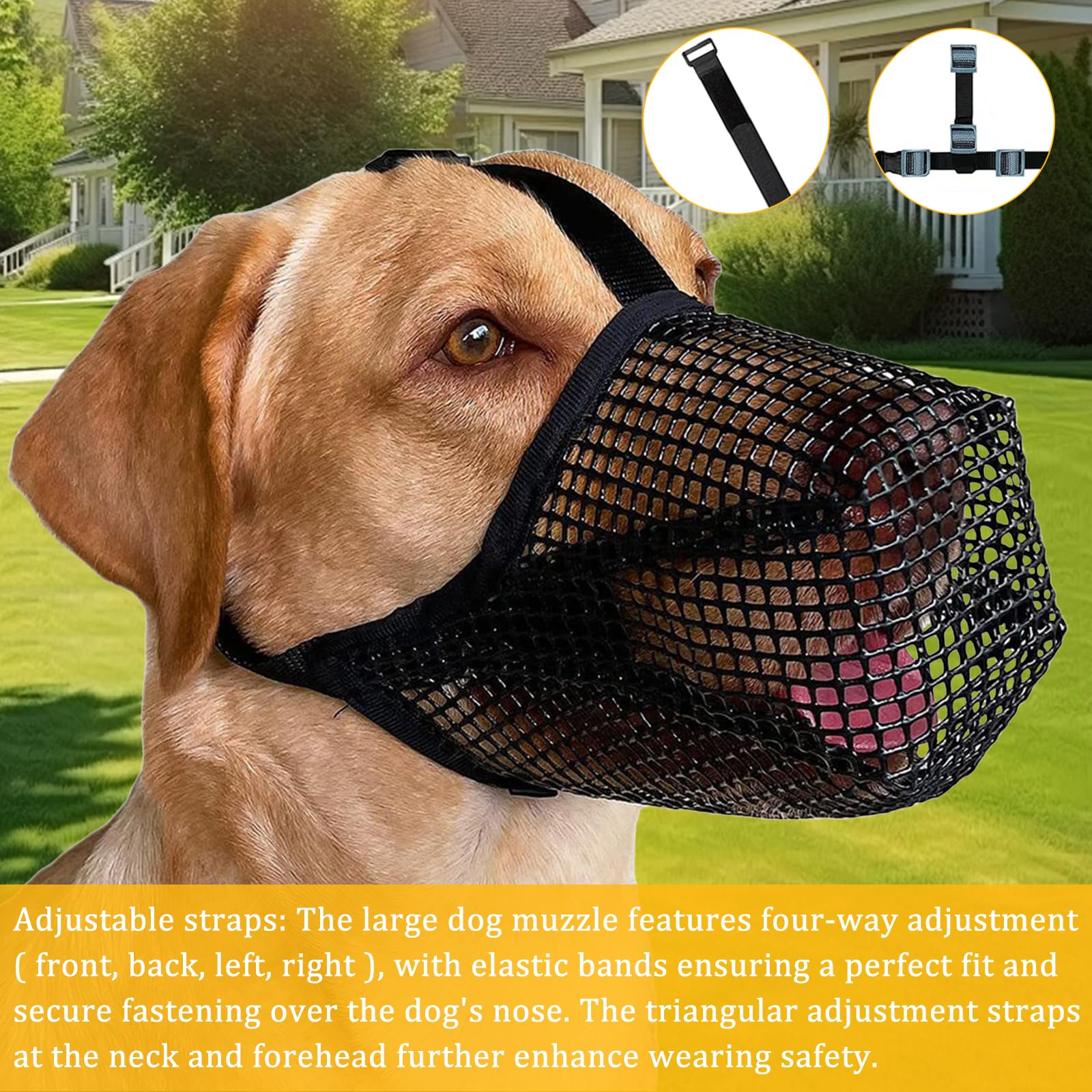 Museliere Anti Intoxication Chien (M) Muselière Chien Réglables Masque Respirant pour Animaux Prévenir L'ingestion Accidentelle pour Attraper Les Morsures Les Lécher La Mastication