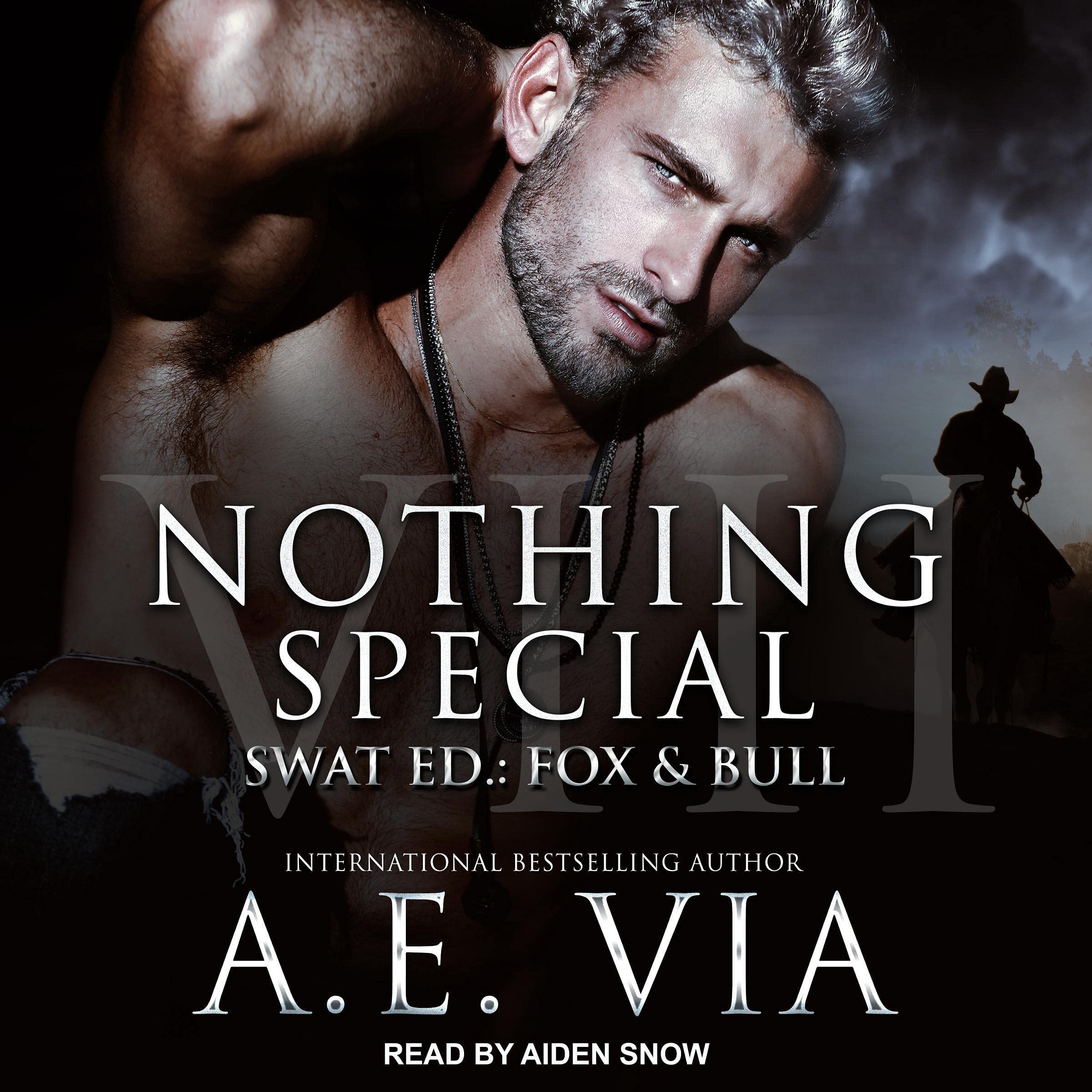 Cover art for Nothing Special VIII