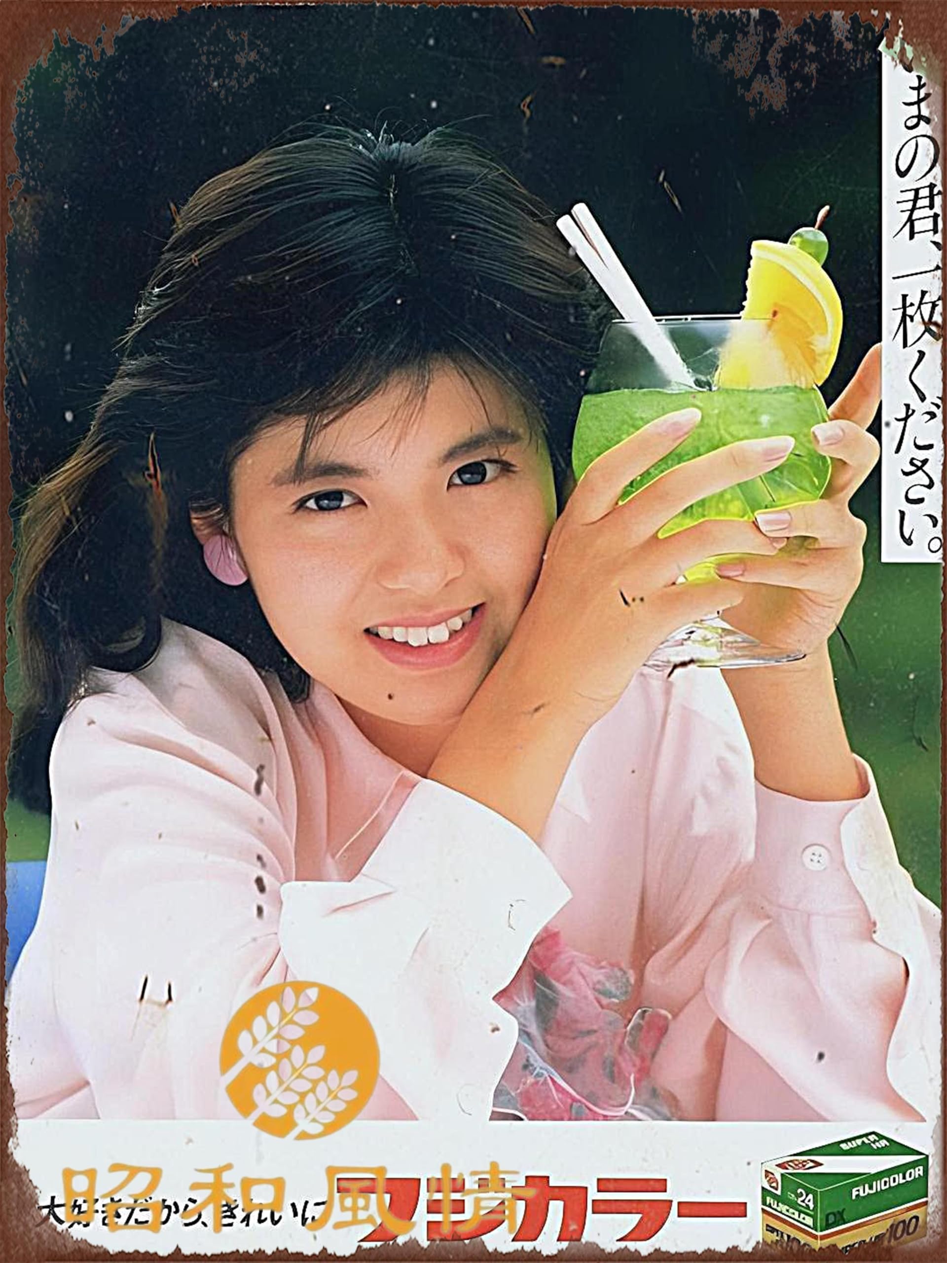 Amazon.co.jp: 【2枚組 】南野陽子 懐かし ブリキ看板 ポスター 店舗