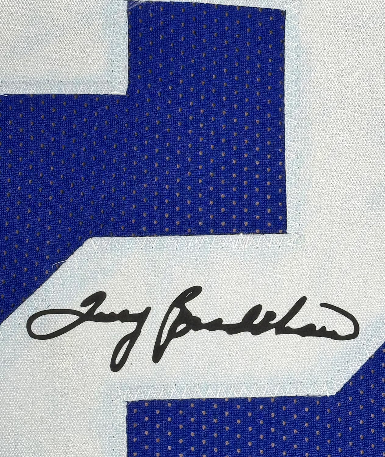 Framed Facsimile Autographed Terry Bradshaw 35x39 Louisiana Tech