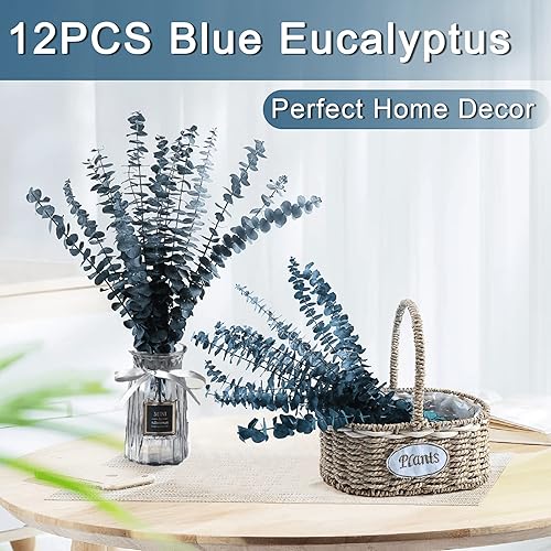 Miniatura 4 de Paquete de tallos de eucalipto secos preservados, 12 piezas de eucalipto verde pino para ducha, paquete de eucalipto natural de 17 pulgadas, plantas