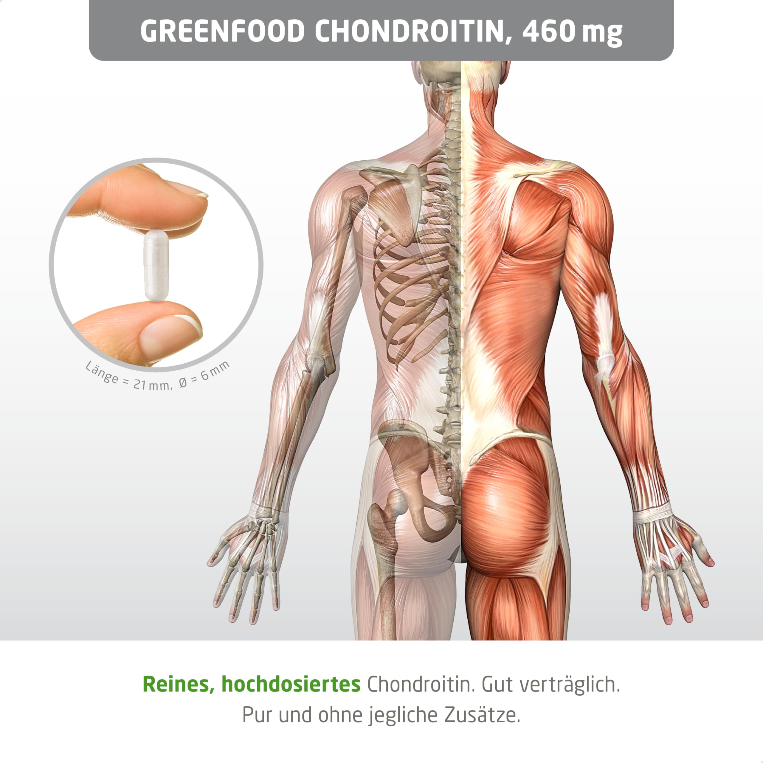 Chondroitin, hochdosiert, 460mg - 120 Kapseln, vegan. Chondroitinsulfat. Reinsubstanz – hohe Bioverfügbarkeit. OHNE künstliche Zusätze - laborgeprüft. Von Greenfood.