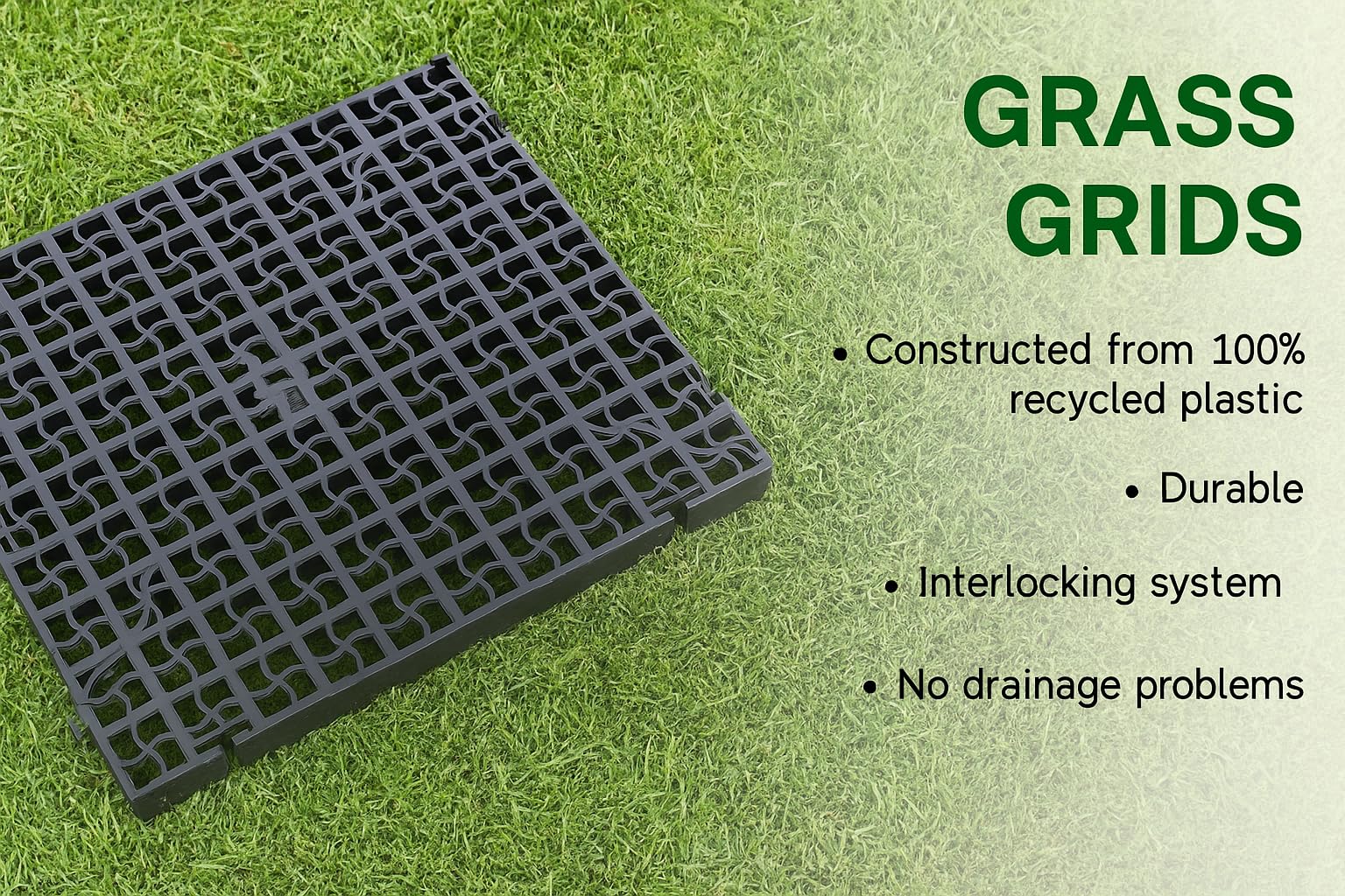 View 6