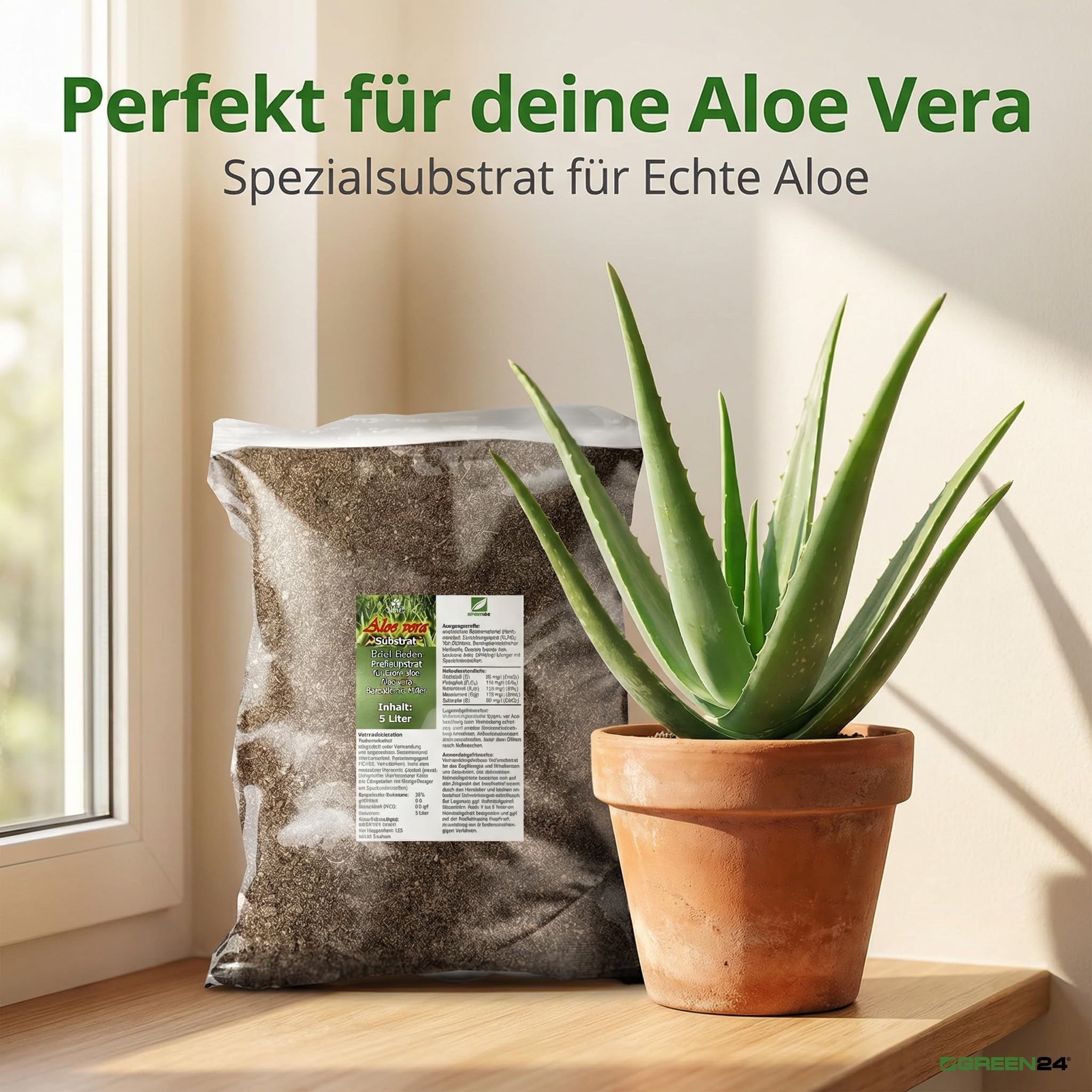 Aloe Vera Erde Spezial 5L Premium Sukkulenten Substrat mit Langzeitdnger &  Drainage Technologie fr Aloe barbadensis : Amazon.de: Garten