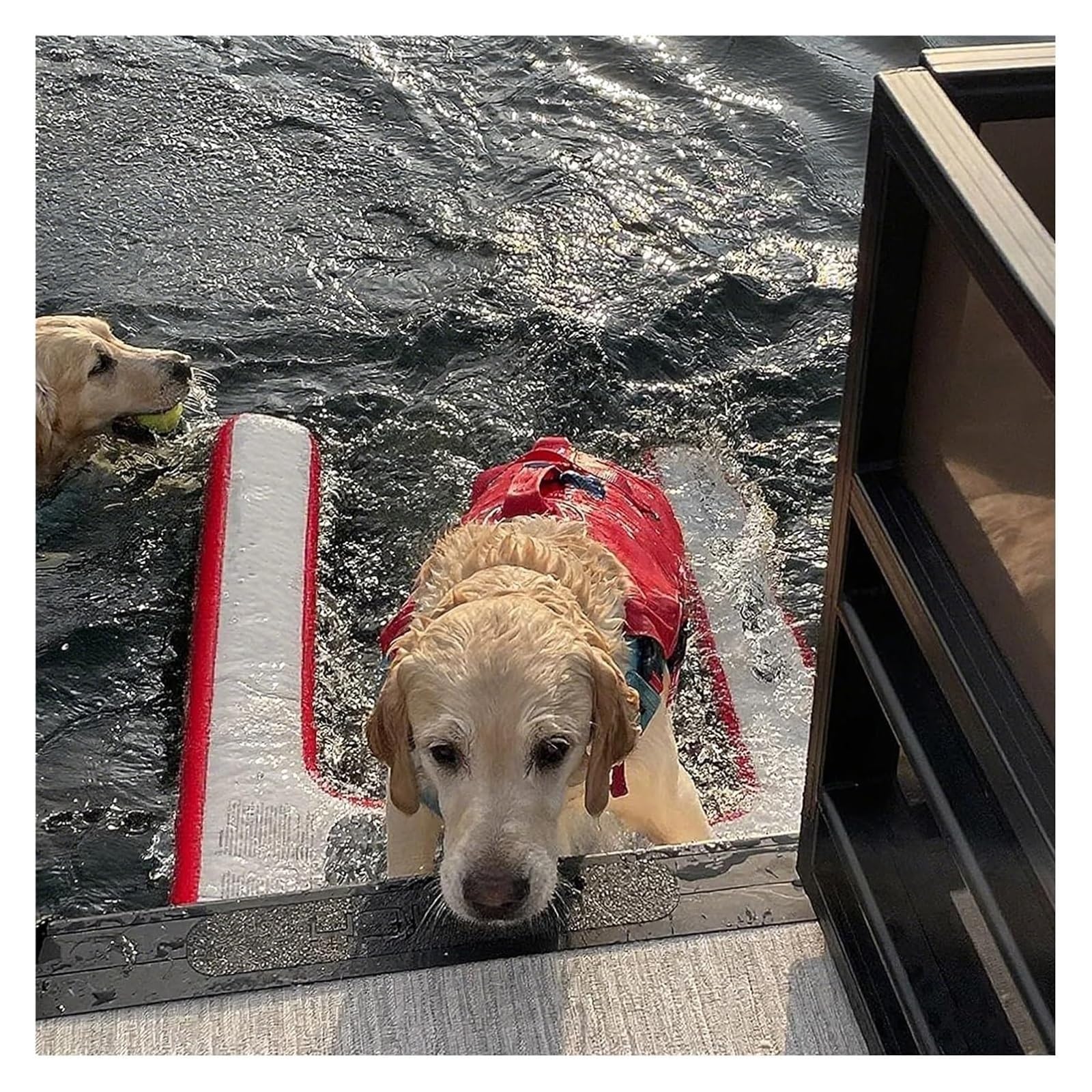 WDJBPSH Heavy Duty Inflatable Dog Boat Ramp, 132 Lbs Capacity Floating Pet Ladder, Non-Slip Mesh Entry for Large Dogs, Yacht Dock & Lake(Red)