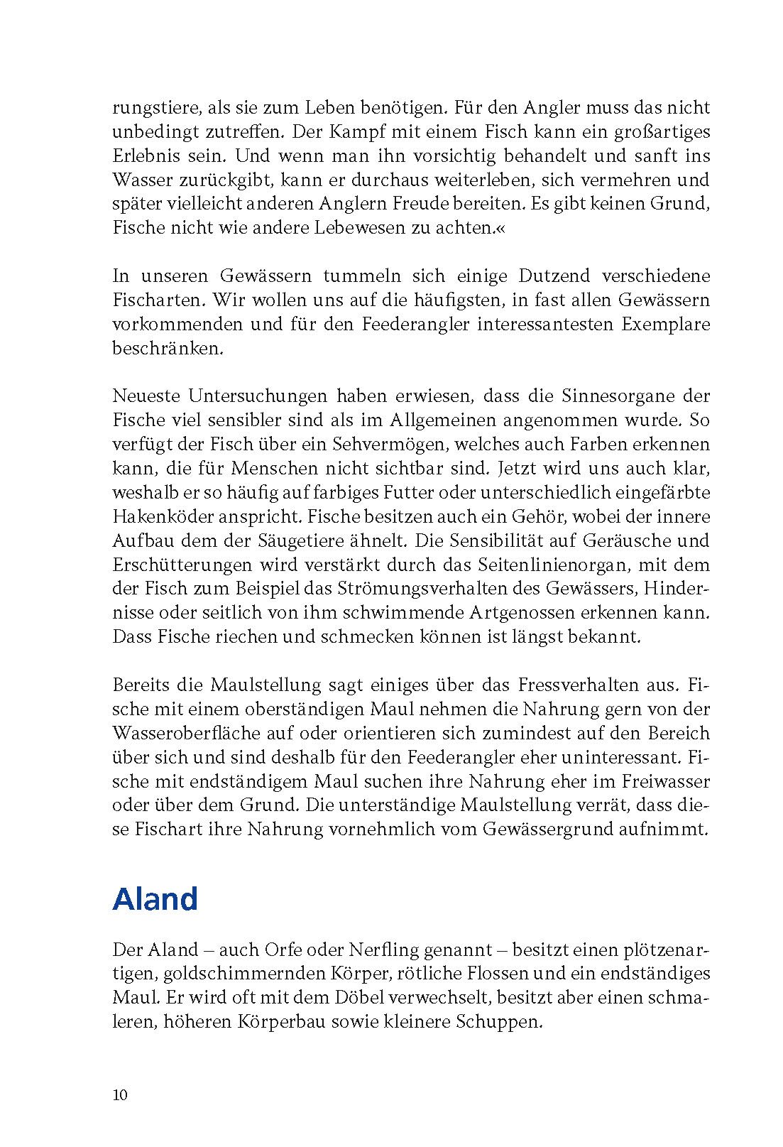 Feedern: Angeln mit dem Futterkorb