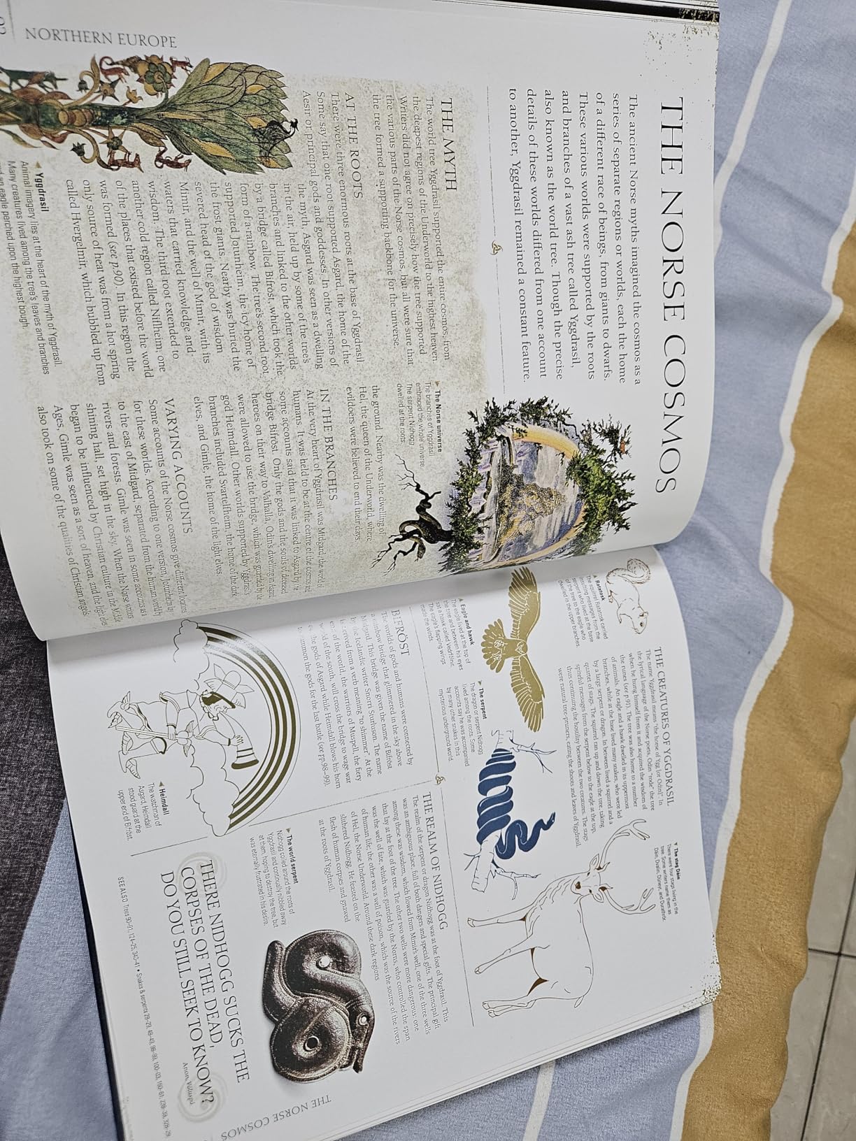 Myths & Legends an Illustrated Guide to Their Origins and Meanings ...