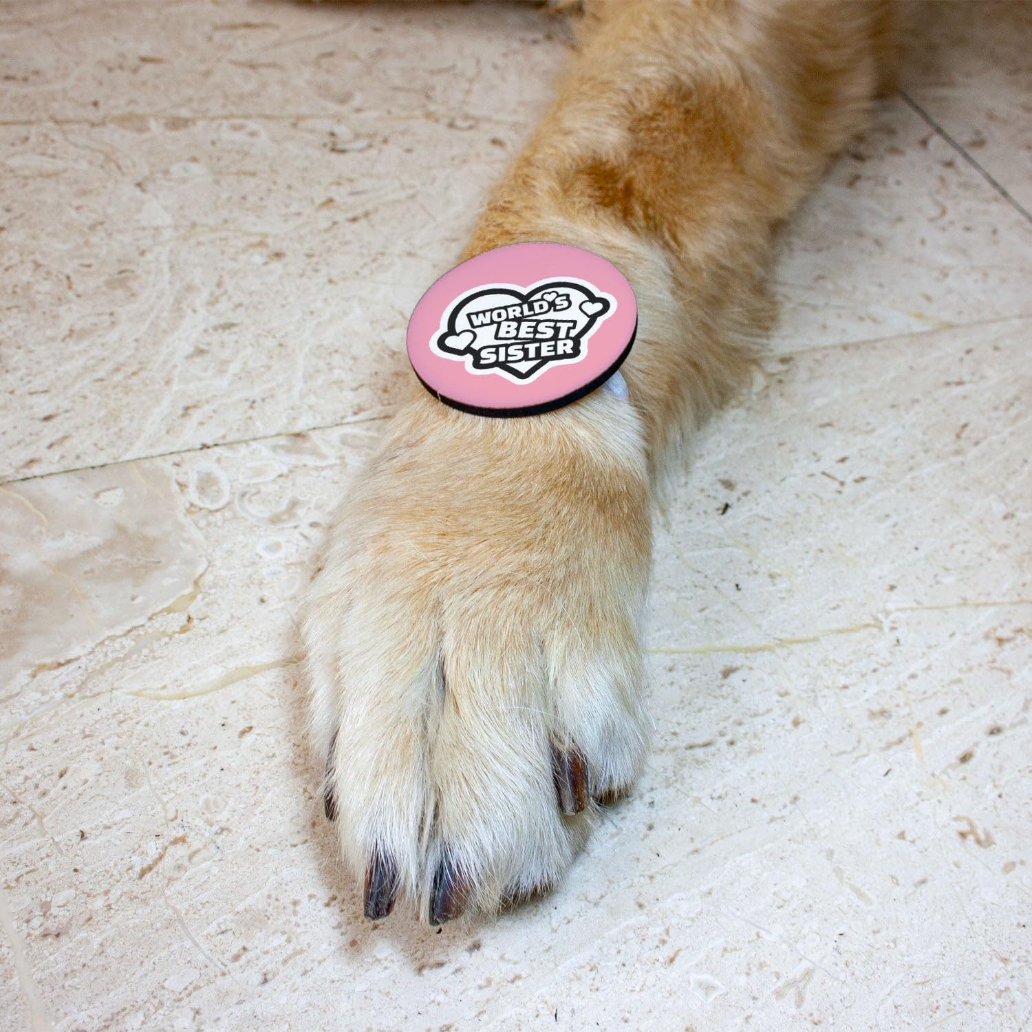 Ruse Dog & Cat Rakhi World Best Sister Printed Rakhi Happy Raksha Bandhan Special Crafted with Anti Chafing Elastic Band for Bro/Boys Dogs & Cats (Pink/S) (B0CG3F55LH) Amazon Price History, Amazon Price Tracker