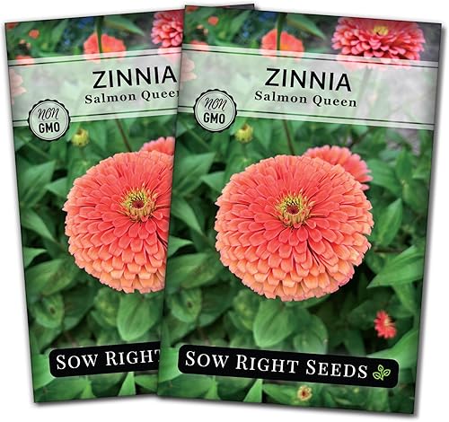 Miniatura 7 de Sow Right Seeds - Semillas de zinnia Salmon Queen para plantar - Paquete de reliquia sin OMG para plantar y cultivar un jardín de flores en el hogar