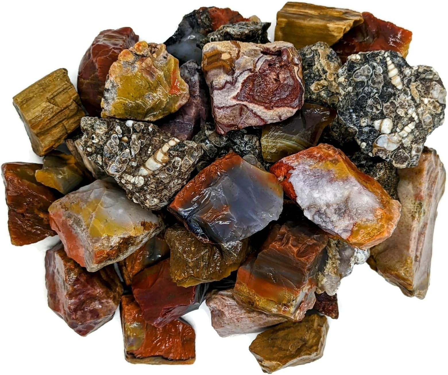 3 lbs Bulk Rough Agate, Jasper, Petrified Wood Stone Mix - 1 to 2 Inch Mixed Sizes. Natural Stones Perfect for Rock Tumbling, Wire Wrapping, Fountain, Decoration, Lapidary or Energy Stones