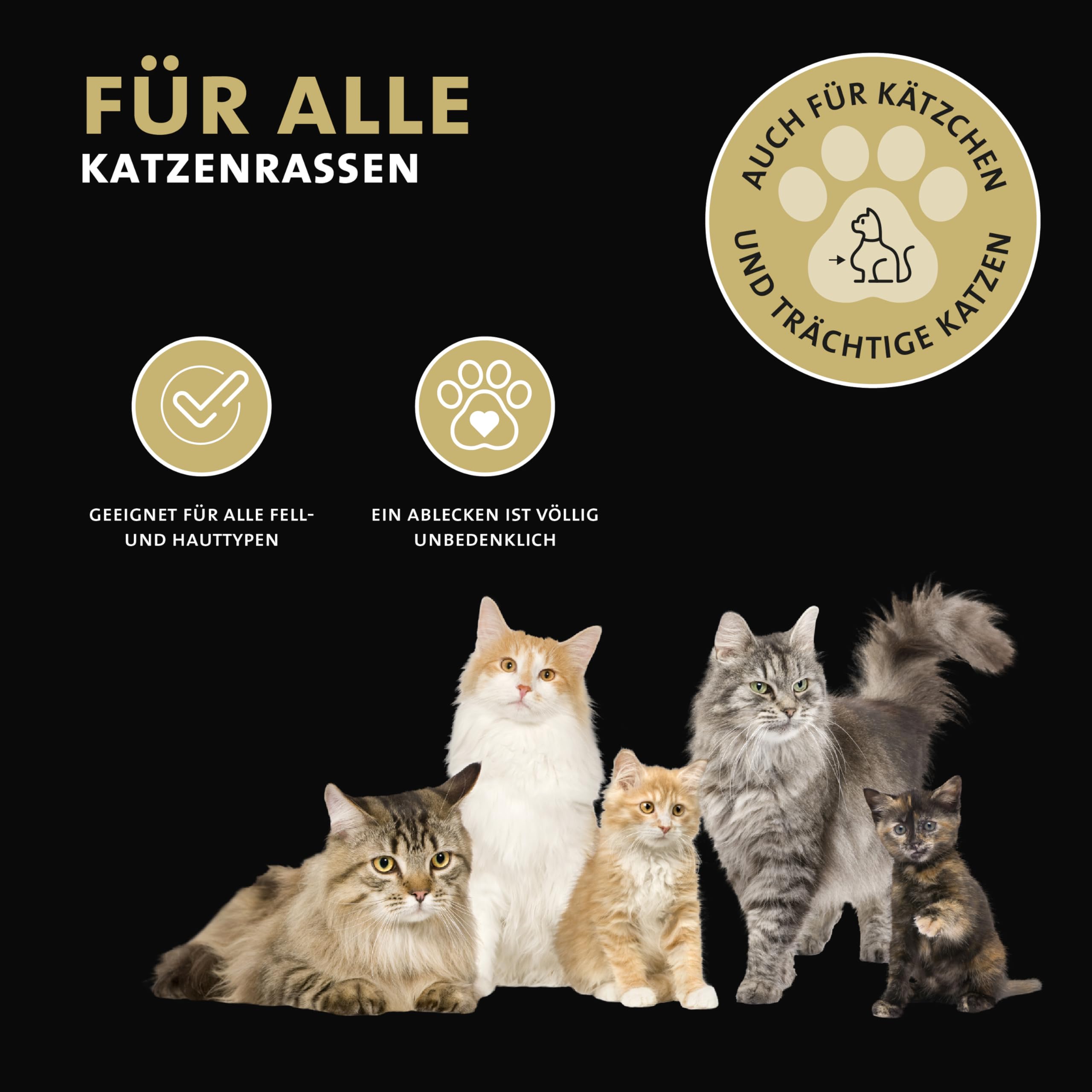 Peticare Anti-Parasiten Mittel für Katzen | gegen Milben Flöhe Pilze | lindert effektiv Juckreiz & unterstützt Regenerationsprozess | einzigartiges PRS® System für Lange Wirkung – petCat Protect 3010