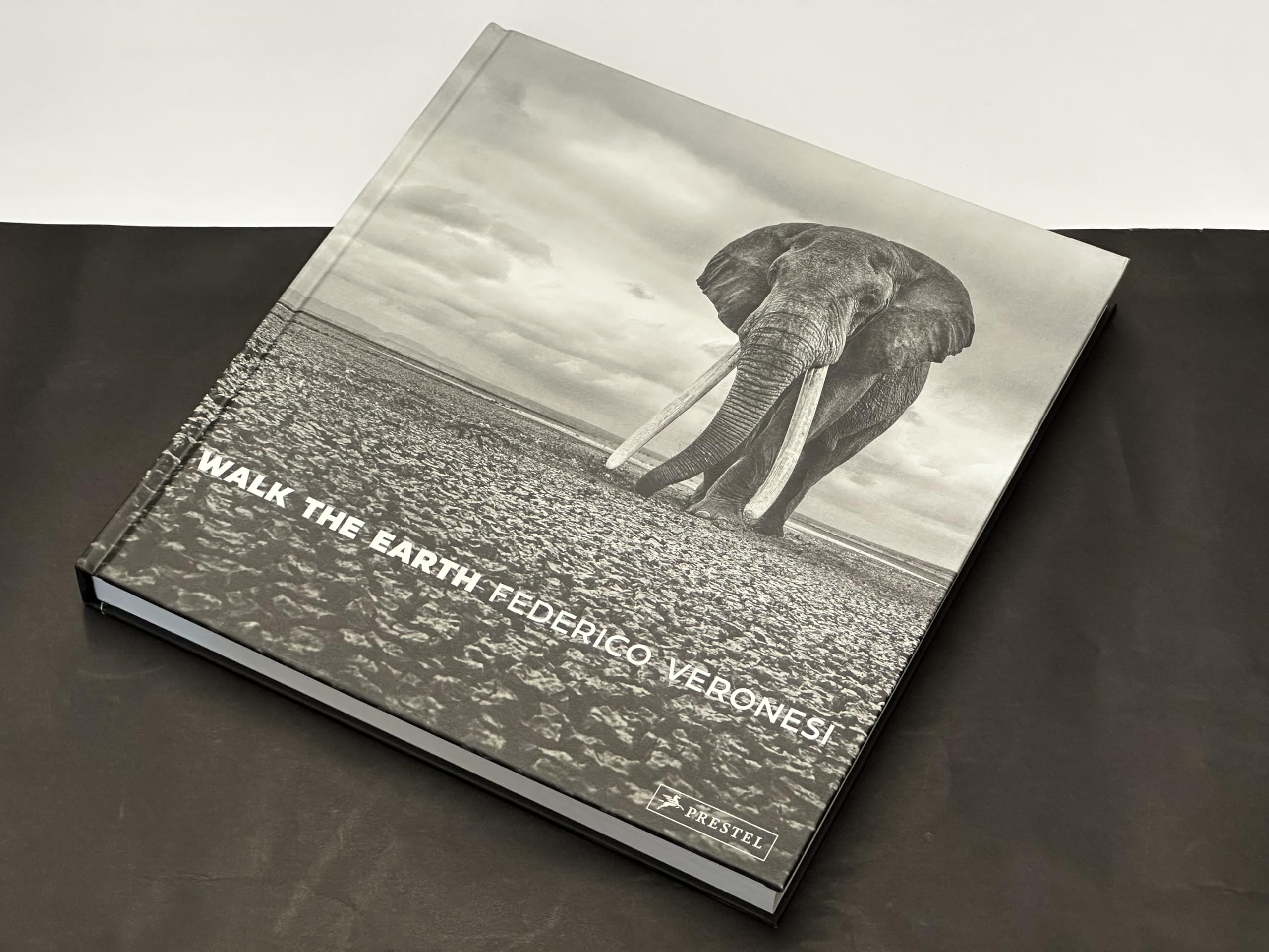 Walk the Earth: Federico Veronesi