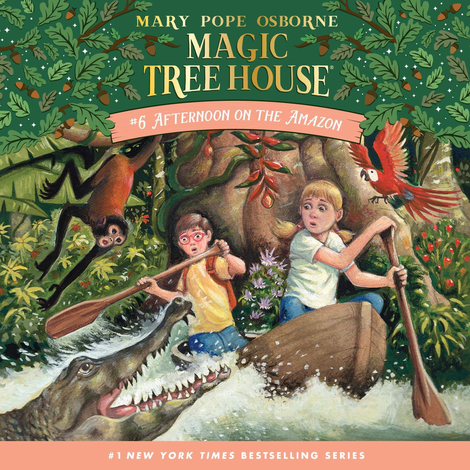 Cover art for Afternoon on the Amazon