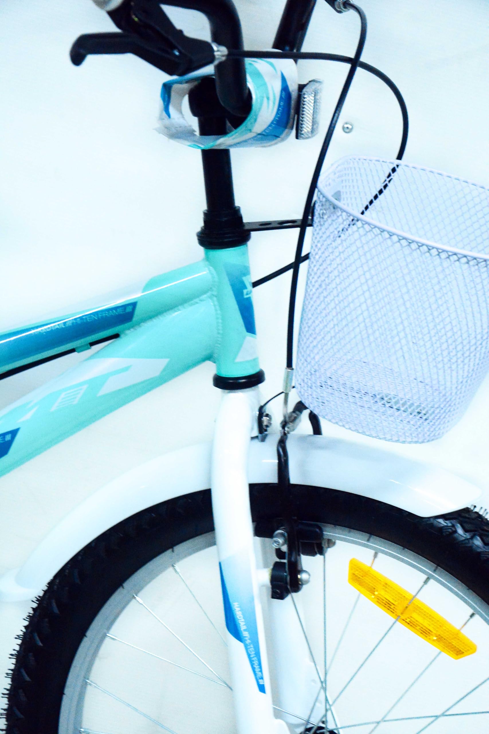 Bicicleta 20 Pulgadas niña | Bicicleta niña 6-9 años + Frenos V-Break + Estabilizadores + Cuadro Acero | Segura y Resistente